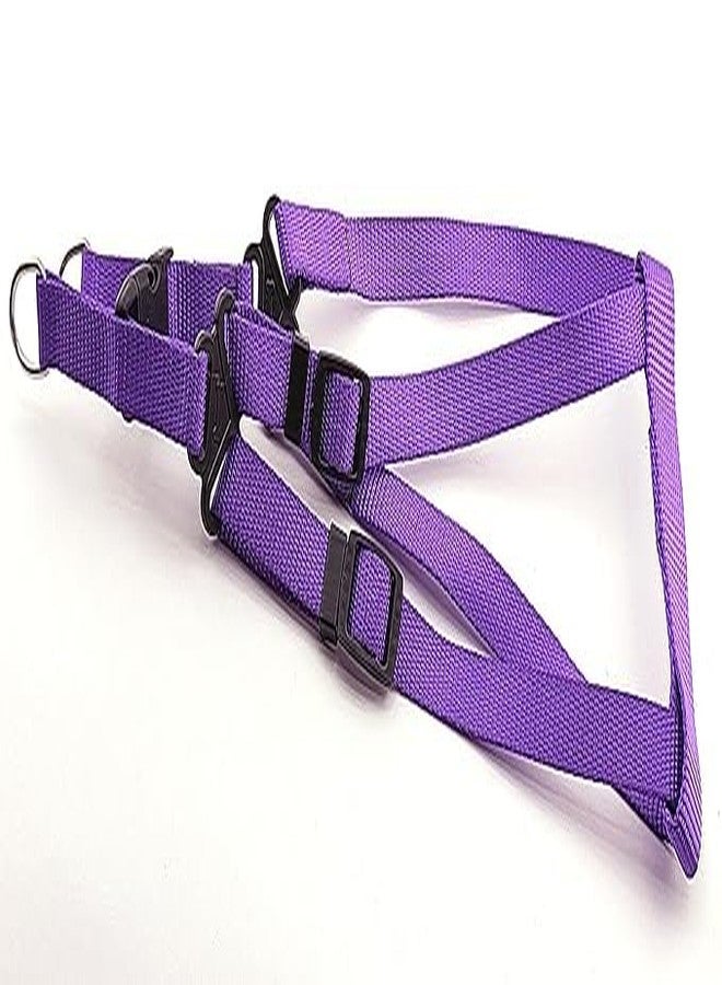 Pups&Pets طقم مقود نايلون من Pups&Pets مقاس 15 مم مع حزام، طقم حزام نايلون قابل للتعديل مقاس 0.5 بوصة، مناسب لتدريب/مشي الكلاب الصغيرة والجراء (بنفسجي) - Image 4